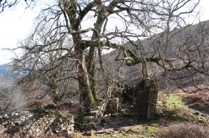 Borde abandonnée