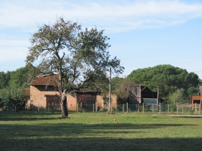 Le pré à la coulemelle