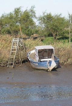 Un lit trois fois plus large que le ruisseau