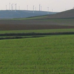 Orge et éoliennes