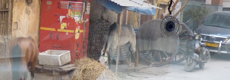 inde