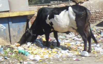 inde