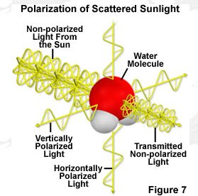 polarisation