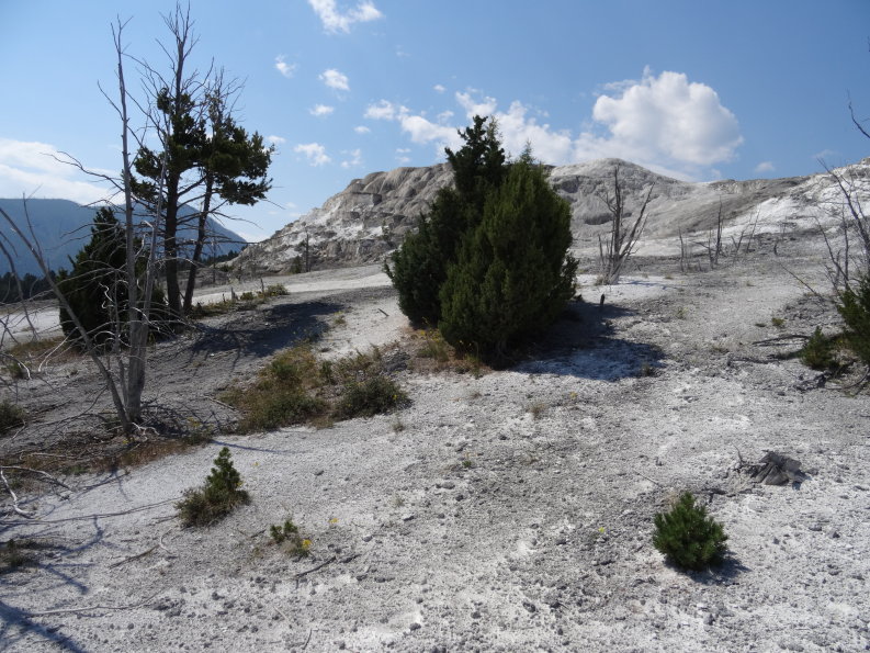 Yellowstone