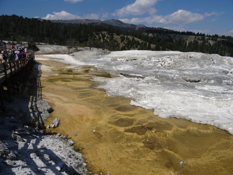 Yellowstone