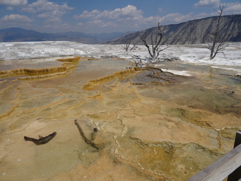 Yellowstone