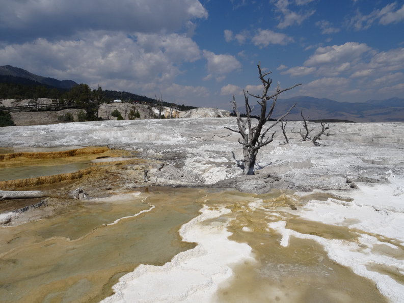 Yellowstone