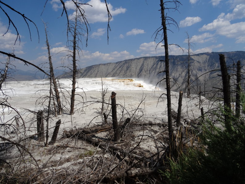 Yellowstone