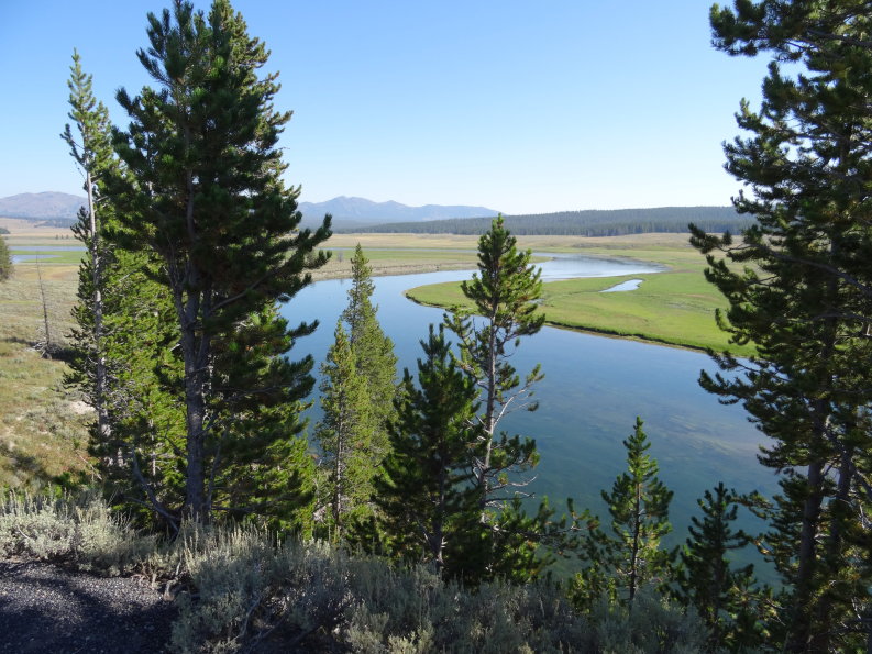 Yellowstone