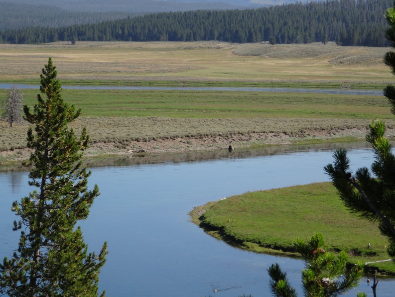 Yellowstone