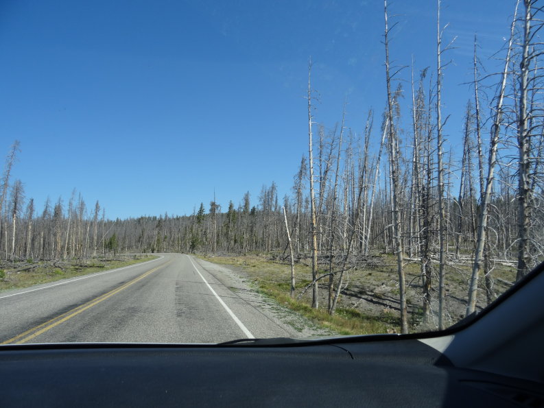 Yellowstone