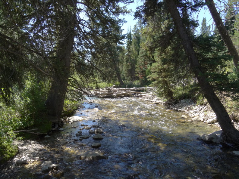 Mont Teton