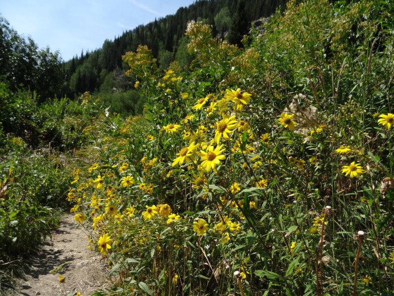 Mont Teton