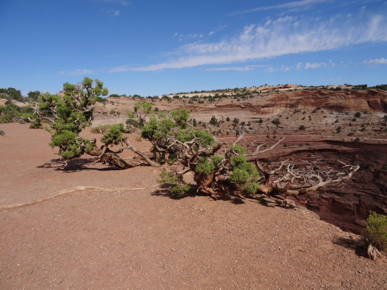 Canyon lands