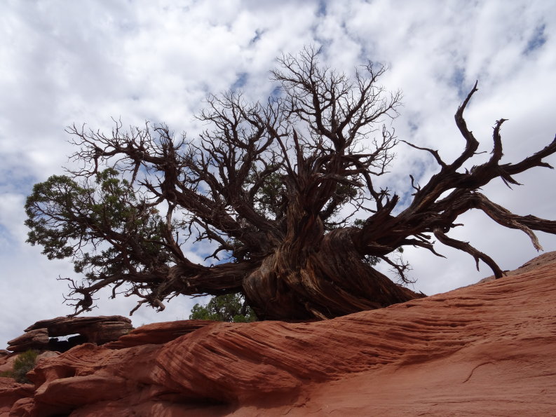 Canyon lands