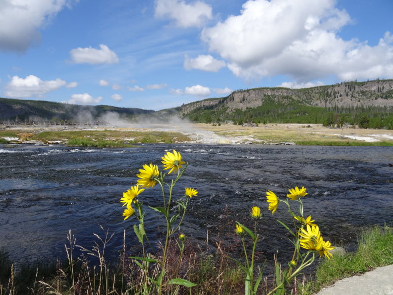 Yellowstone