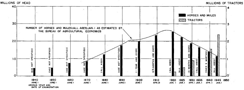 chevaux_statistiques