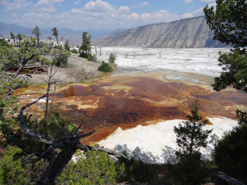 mammoth springs