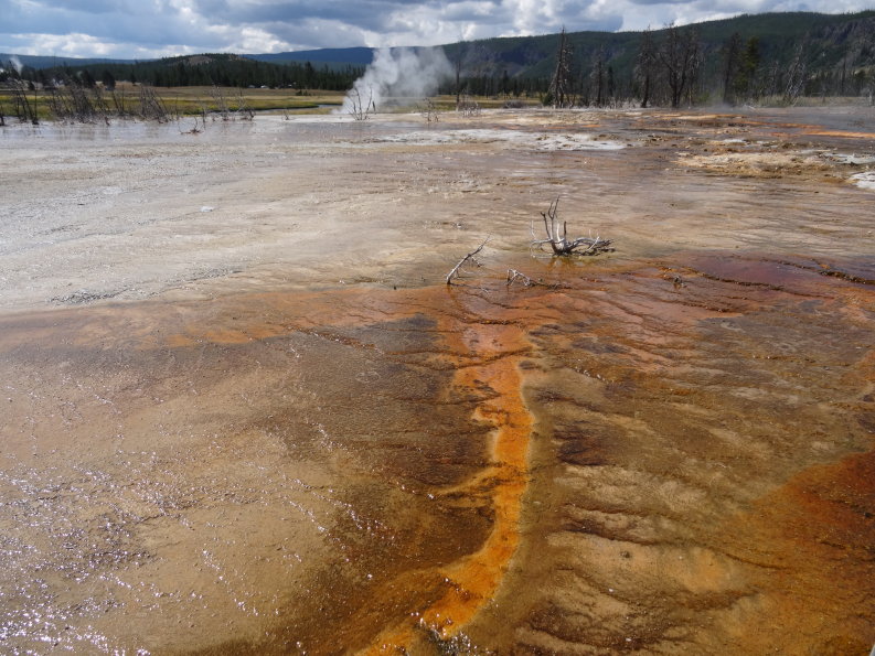 yellowstone