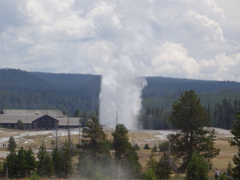 old faithful geyser