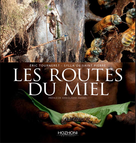 les routes du miel