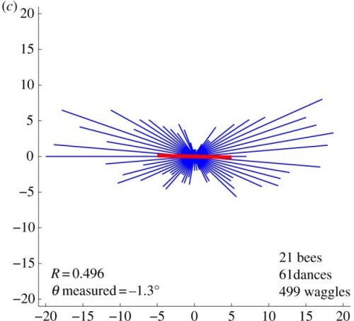 polarisation