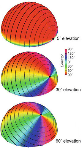 polarisation