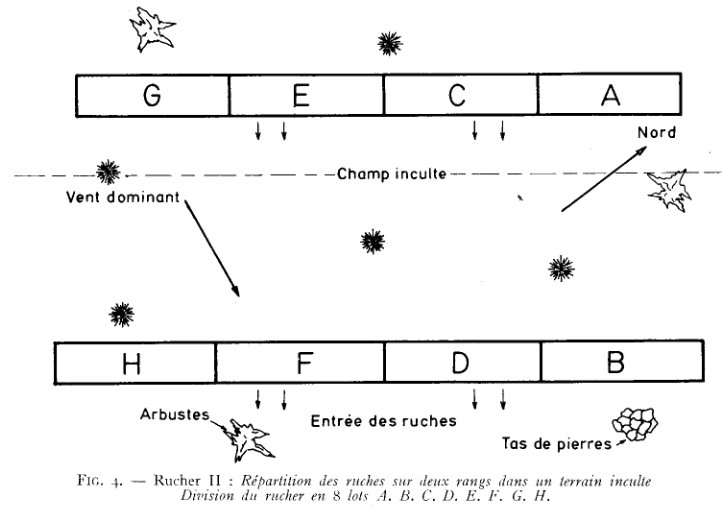 derive_2a1