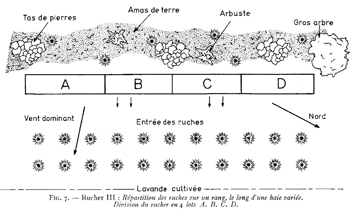 derive_3a