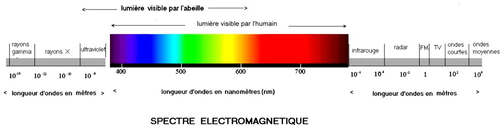 spectre_lumiere